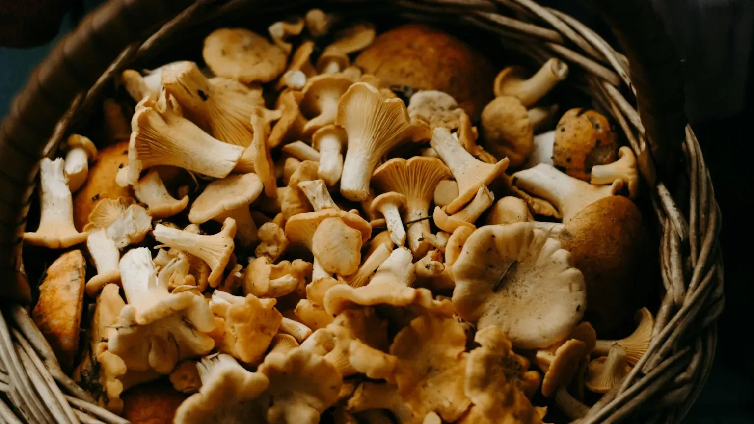 Irina Iriser Cestino con funghi
