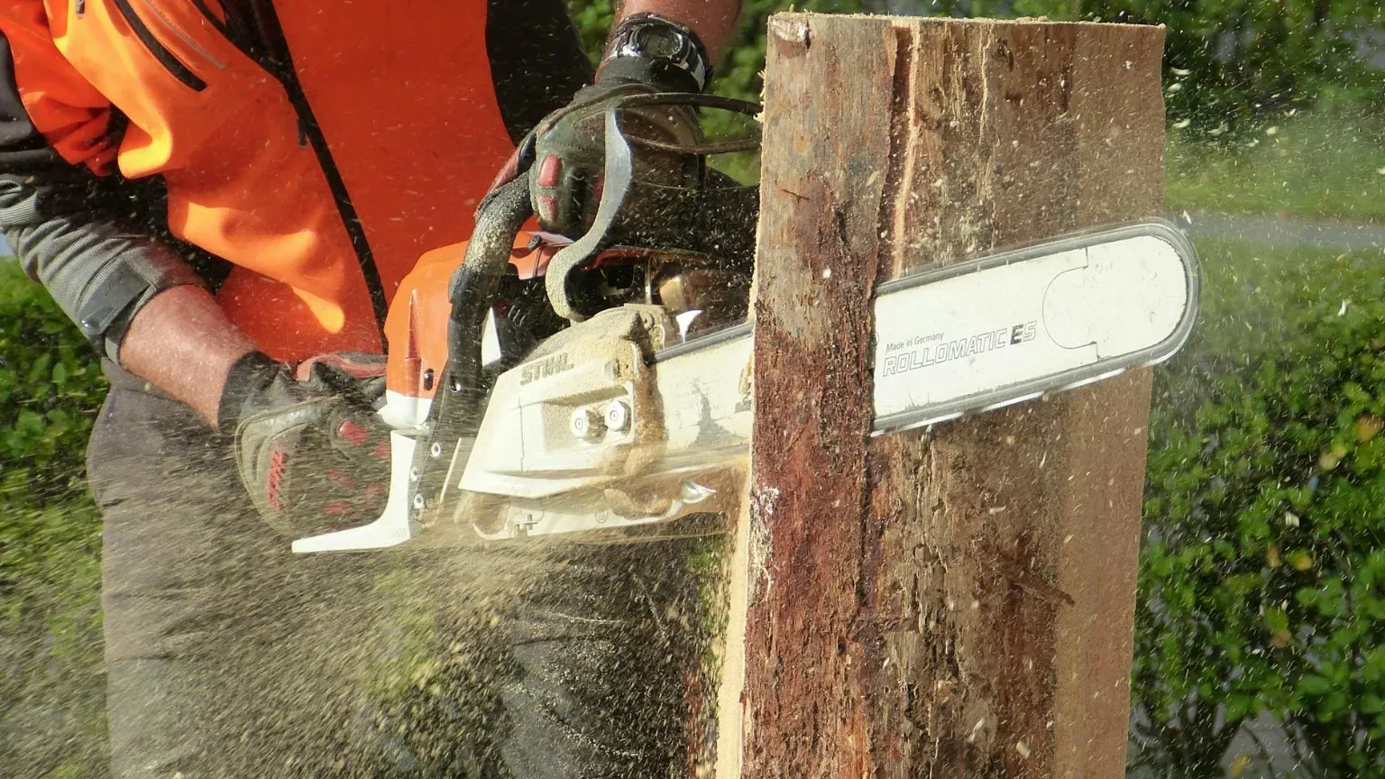 Pixabay Uomo che taglia gli alberi con la motosega